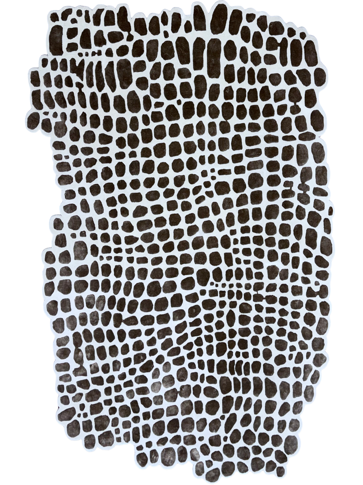 Tessella c